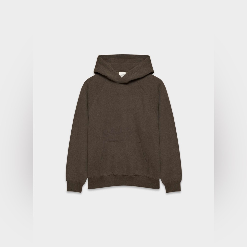Aritzia Cozy Sweatfleece Mega Raglan™ Hoodie